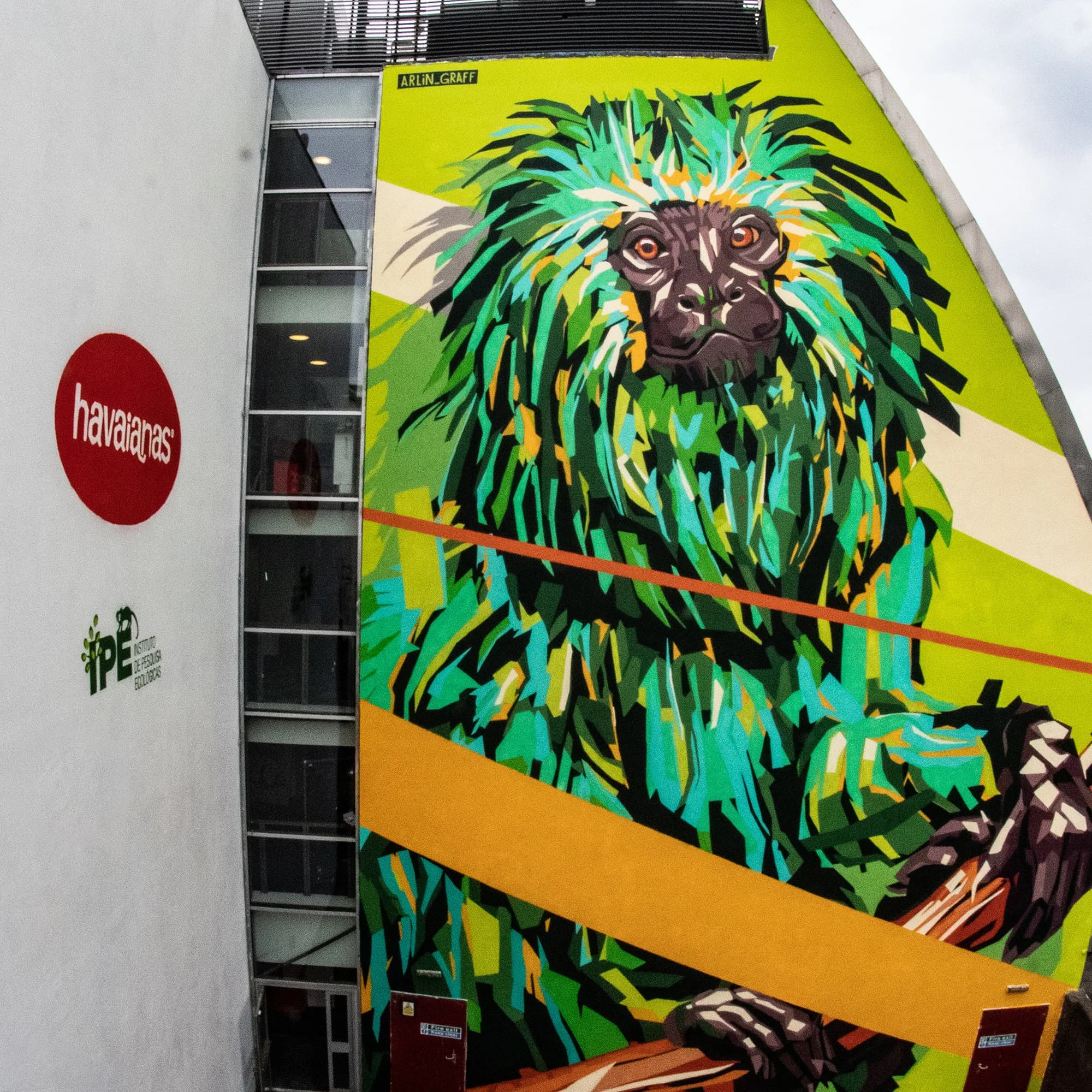 Arlin Graff's green tamarin mural on a building beside the Havaianas logo