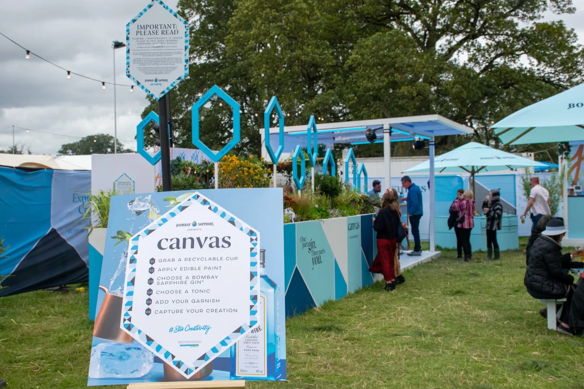 The CANVAS installation at Electric Picnic — hexagonal blue signage and garnish garden