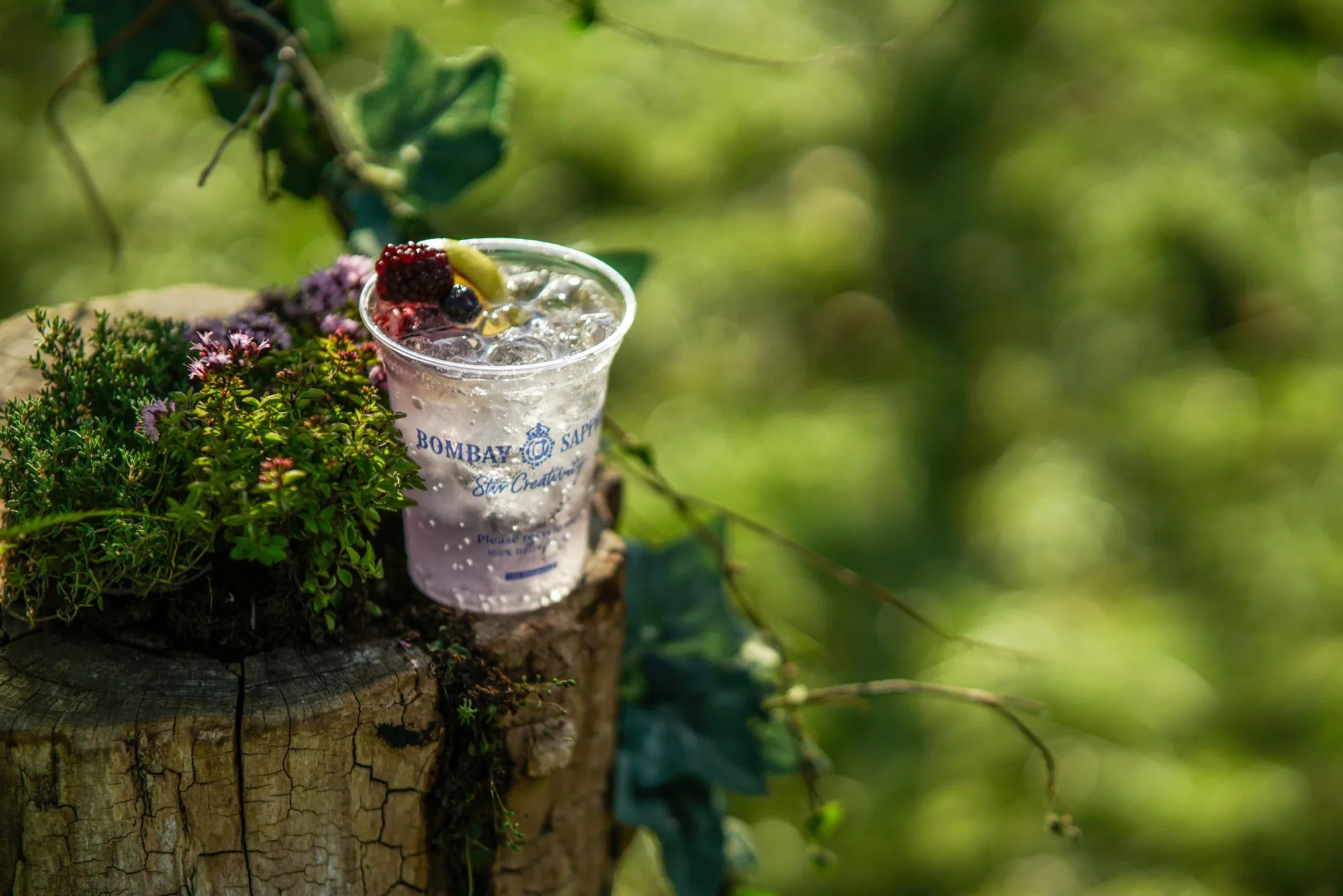 A recyclable-cup serve resting on a mossy tree stump
